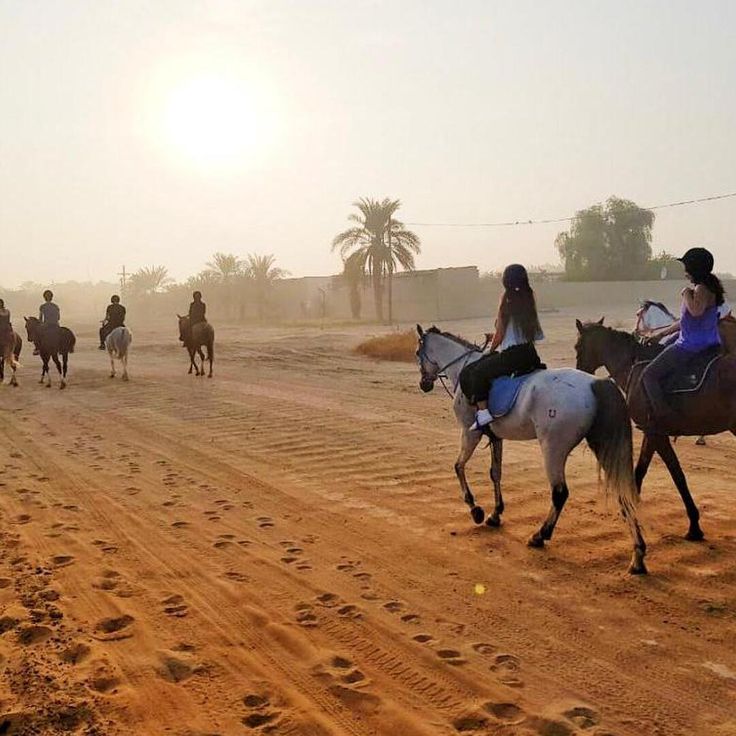 Horseback Riding Experience