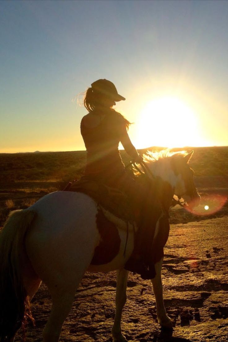 Unforgettable Horseback Riding Experience