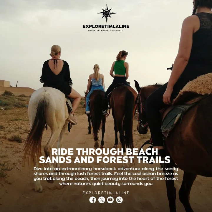 Unforgettable Horseback Riding Experience
