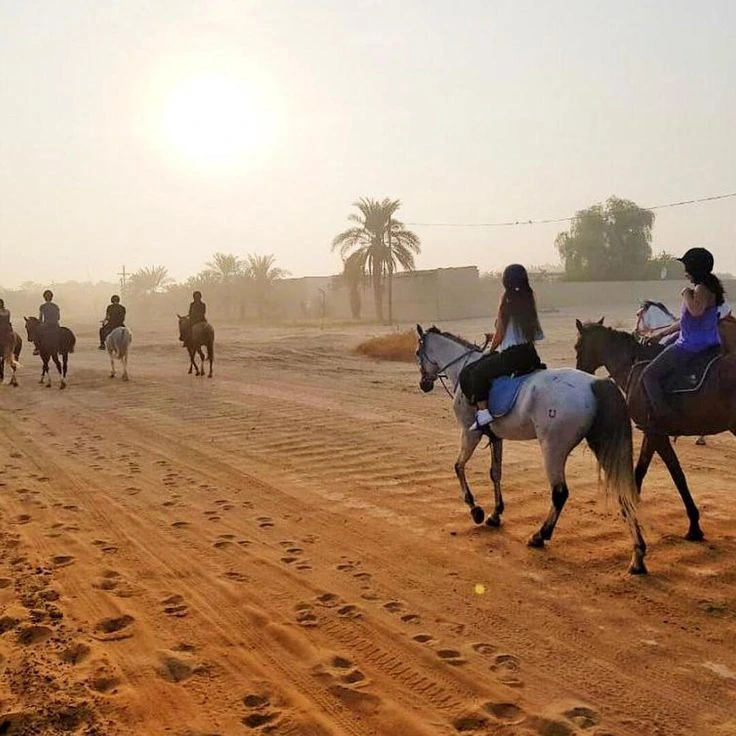 Unforgettable Horseback Riding Experience