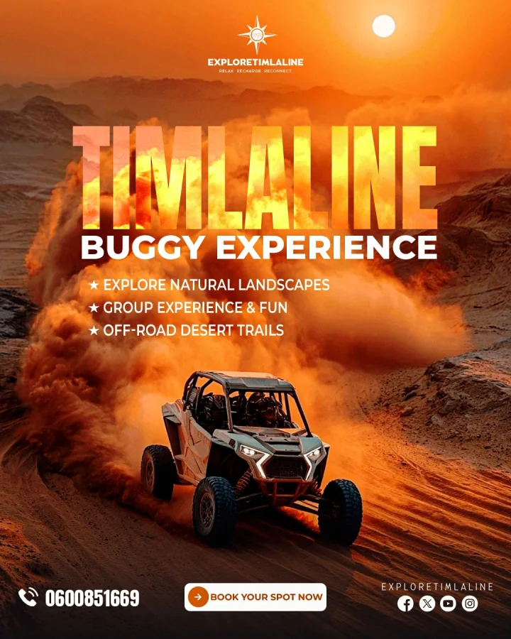 Timlaline Buggy Experience